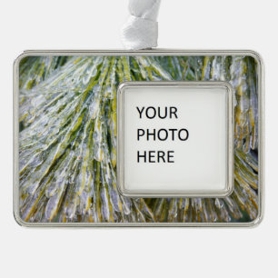 Ice Coated Pine Needles Winter Botanical Silver Plated Framed Ornament
