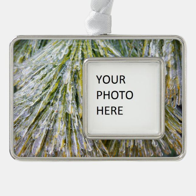 Ice Coated Pine Needles Winter Botanical Silver Plated Framed Ornament (Front)