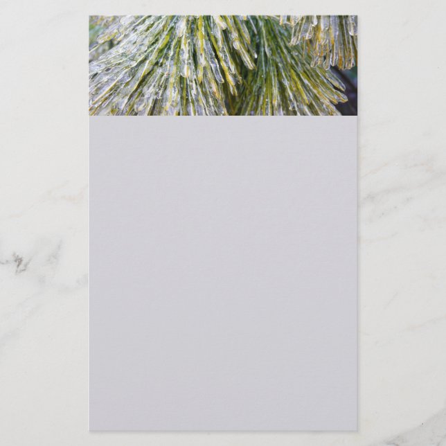Ice Coated Pine Needles Winter Botanical Stationery (Front)