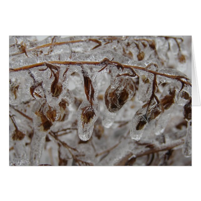 Ice Coating (Front Horizontal)