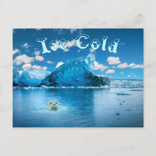 Ice Cold Fun Postcard