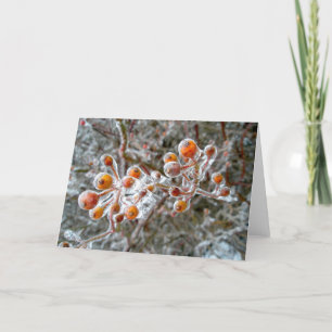 Ice-Covered Red Berries Note Card