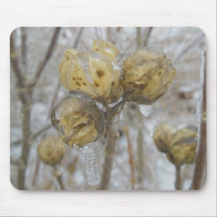 Ice-Covered Seedheads Mousepad