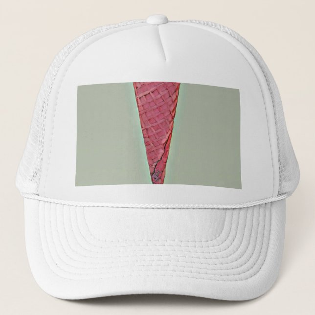 Ice cream cake trucker hat (Front)