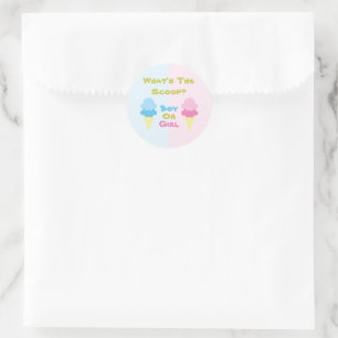Ice Cream Gender Reveal Classic Round Sticker