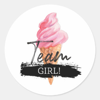 Ice Cream Gender Reveal - Team Girl Stickers
