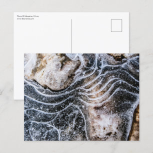 Ice Crystal Nature Photo Postcard