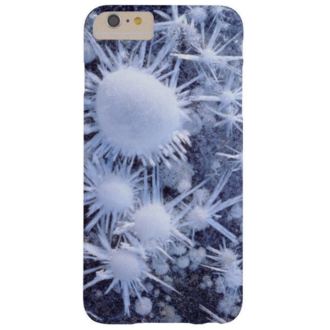 Ice crystals in the Sierra Case-Mate iPhone Case (Back)
