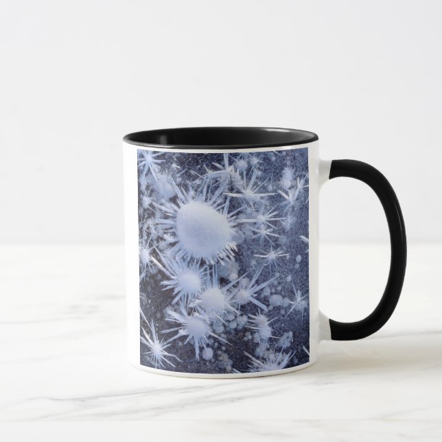 Ice crystals in the Sierra Mug (Right)