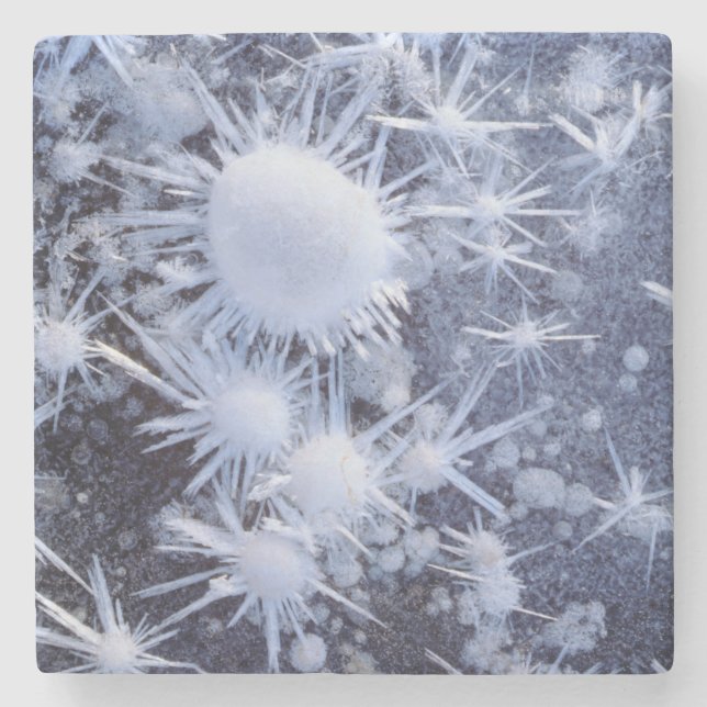 Ice crystals in the Sierra Stone Coaster (Front)