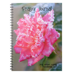 Ice Crystals Rose in Pink Prayer Journal