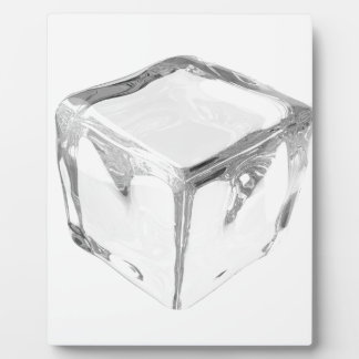 Ice cube plaque
