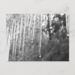 Ice Cycles Postcard