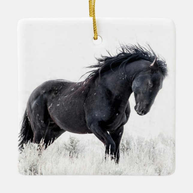 "Ice Dancer" Ornament (Front)