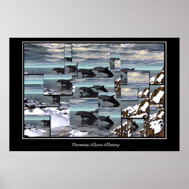 Ice Dolphins Poster (Front)