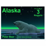 Ice Edge Polar Bear - Alaska Postage Photo Sculpture Magnet<br><div class="desc">Another in the series of postage stamps for an independant Alaska. A peaceful moment in the long Arctic night. A Polar Bear rests at the edge of an open area in the pack ice. The Northern Lights glow in the distance; bright stars twinkle overhead. Text reading "Alaska, " "Postage 3...</div>