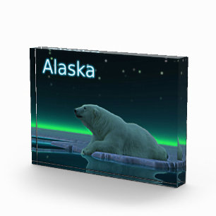 Ice Edge Polar Bear Photo Block