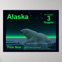 Ice Edge Polar Bear