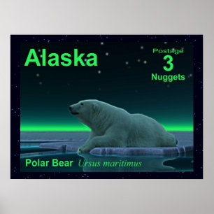Ice Edge Polar Bear Poster