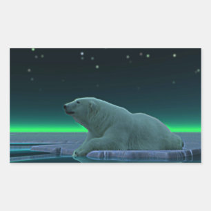 Ice Edge Polar Bear Rectangular Sticker