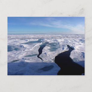 Ice fields in the Arctic Ocean Postcard