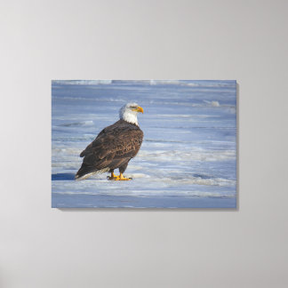 Ice Fishing Canvas Print