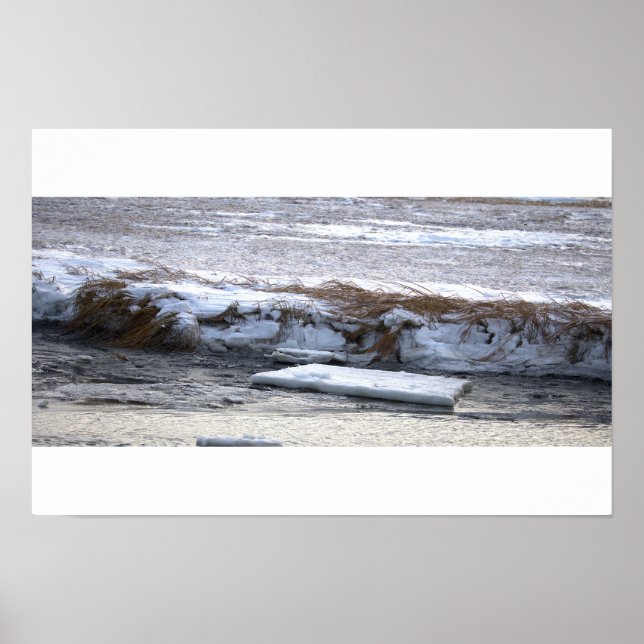 Ice Floating on Water Poster (Front)