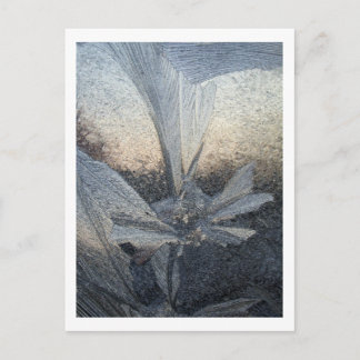 ice flower postcard