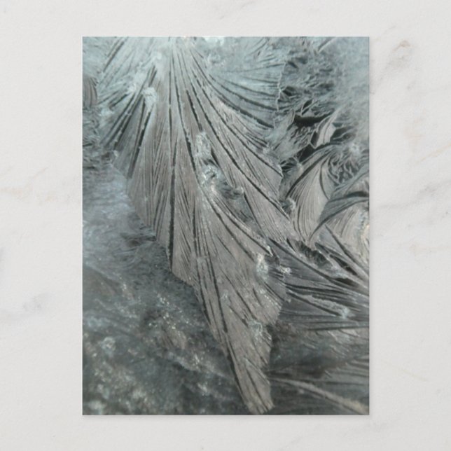 Ice Flower Vertical DIY Postcard (Front)