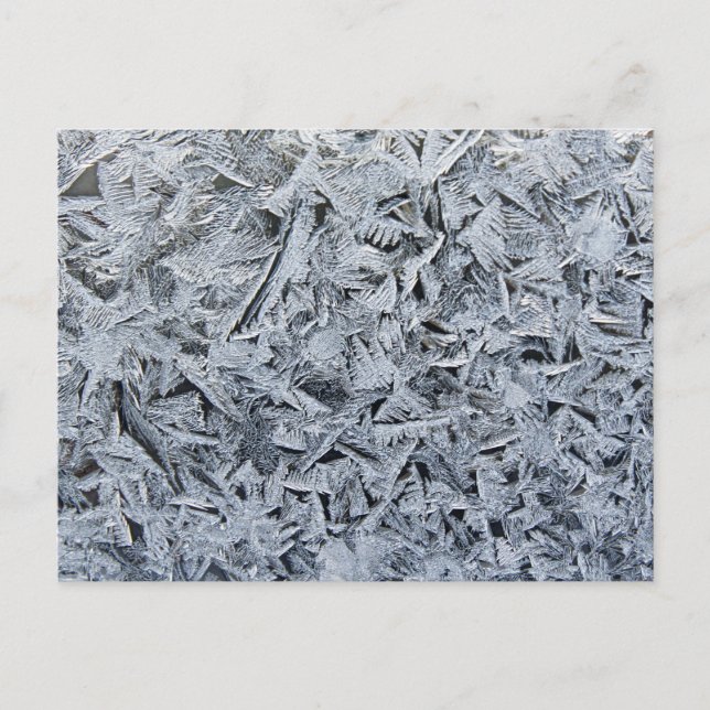 Ice Frost Crystals Texture Image Postcard (Front)