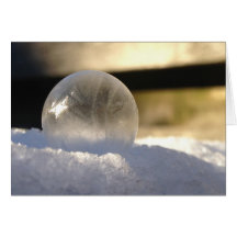 Ice globe card