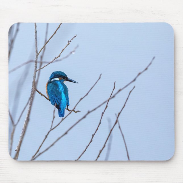 Ice Mouse Mat (Front)