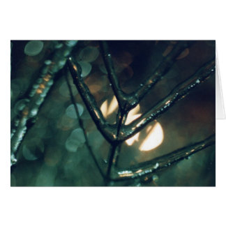 Ice, Night, Light