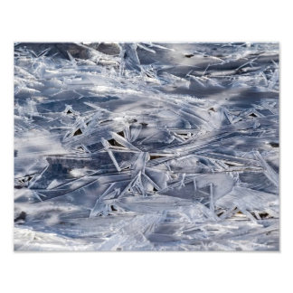 Ice Not ICE Photo Print