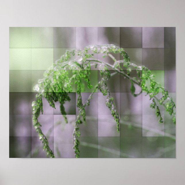 Ice On Goldenrod Nature Poster (Front)