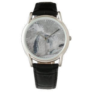 Ice On The Great Lakes, United States. Watch