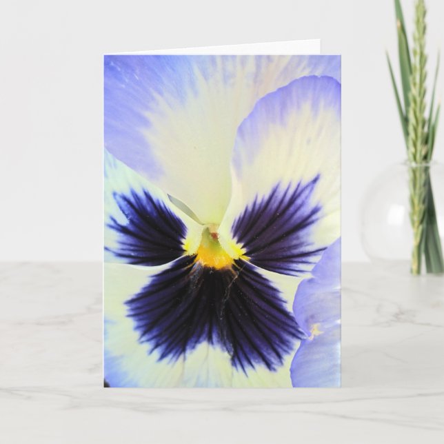 Ice Pansy Greeting Card (Front)
