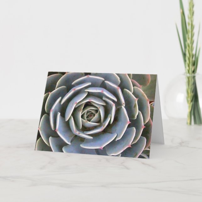 Ice Plant Card (Front)