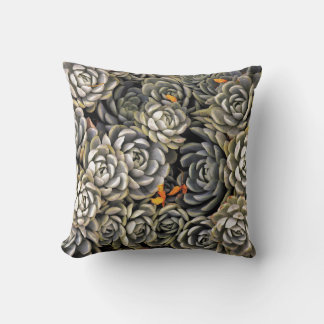 ICE PLANT CUSHION