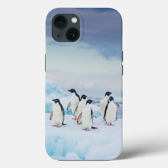 Ice & Snow | Adelie Penguins Antarctica Case-Mate iPhone Case (Back)