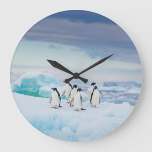 Ice & Snow   Adelie Penguins Antarctica Large Clock