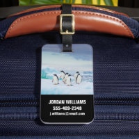 Ice & Snow | Adelie Penguins Antarctica