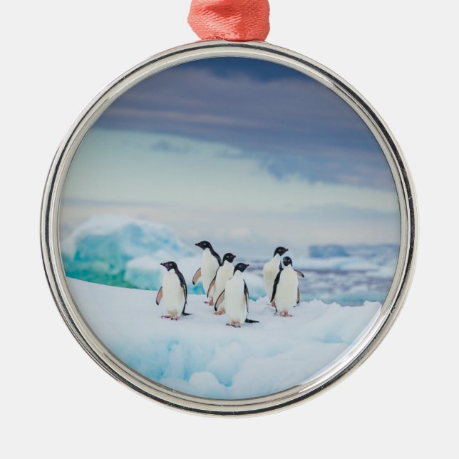 Ice & Snow | Adelie Penguins Antarctica Metal Tree Decoration (Front)
