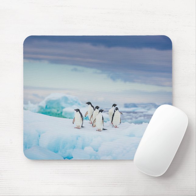 Ice & Snow | Adelie Penguins Antarctica Mouse Mat (With Mouse)