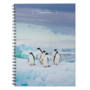 Ice & Snow Adelie Penguins Antarctica Notebook