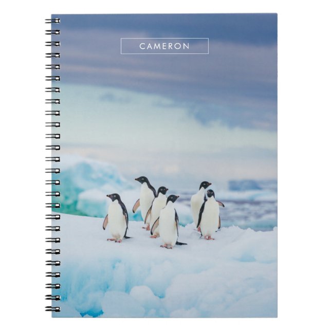 Ice & Snow | Adelie Penguins Antarctica Notebook (Front)