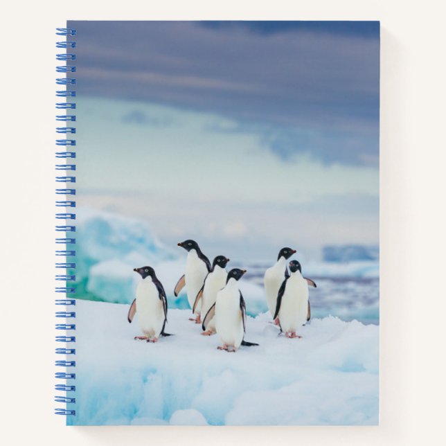 Ice & Snow | Adelie Penguins Antarctica Notebook (Front)