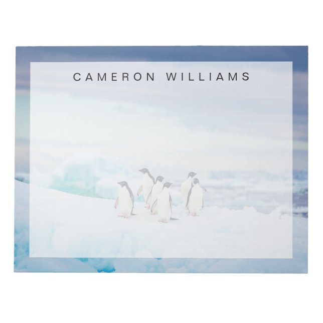 Ice & Snow | Adelie Penguins Antarctica Notepad (Front)
