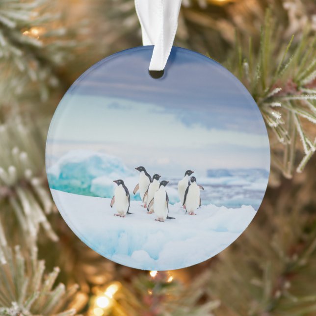 Ice & Snow | Adelie Penguins Antarctica Ornament (Tree)