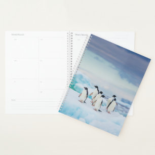 Ice & Snow   Adelie Penguins Antarctica Planner